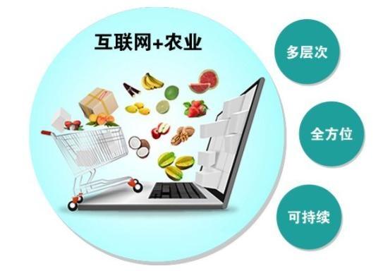 互聯網+農產品推進模式 從田間到指尖的智慧轉型